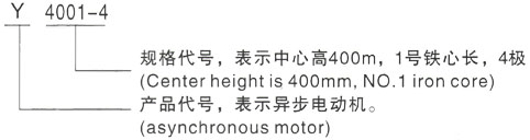 西安泰富西玛Y系列(H355-1000)高压YR4501-4/315KW三相异步电机型号说明