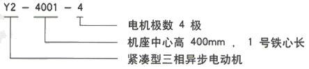 YR系列(H355-1000)高压YR4501-4/315KW三相异步电机西安西玛电机型号说明